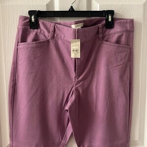 NWT Loft size 12P pants